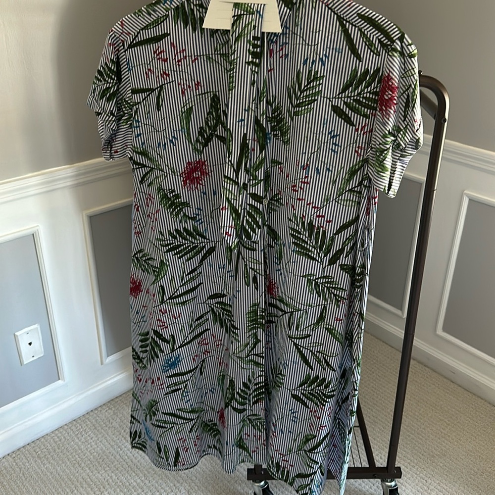 Zara dress